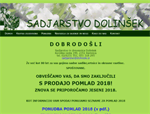 Tablet Screenshot of dolinsek.si
